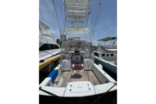 Predator 35 Express usata in vendita