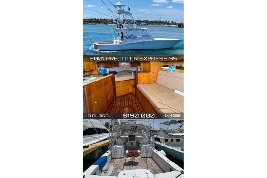Predator 35 Express usata in vendita