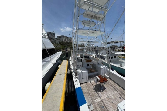 Predator 35 Express usata in vendita