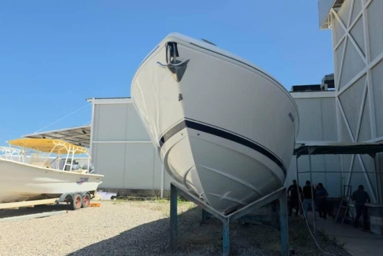 Intrepid Boats 400 Cuddy de segunda mano en venta