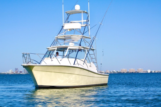 Topaz Express Cruiser usata in vendita