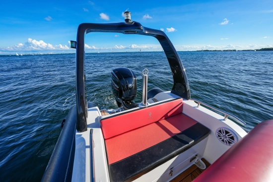 Trident 21 rib usado à venda