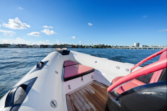 Trident 21 rib usado à venda