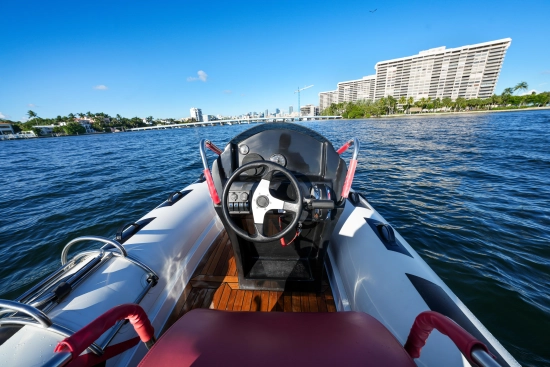 Trident 21 rib usado à venda