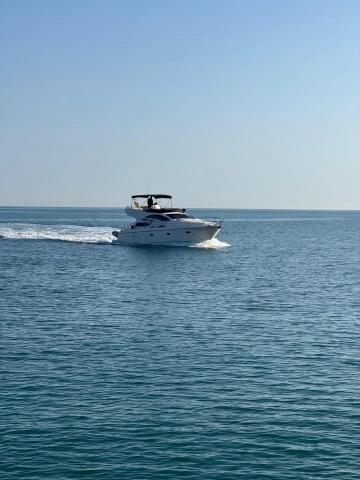 Rodman Muse 44 de segunda mano en venta