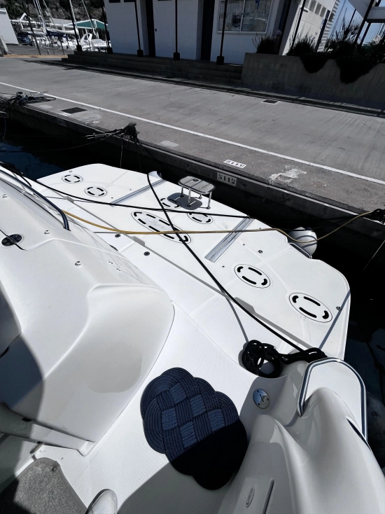 Sea Ray 515 SUNDANCE usata in vendita
