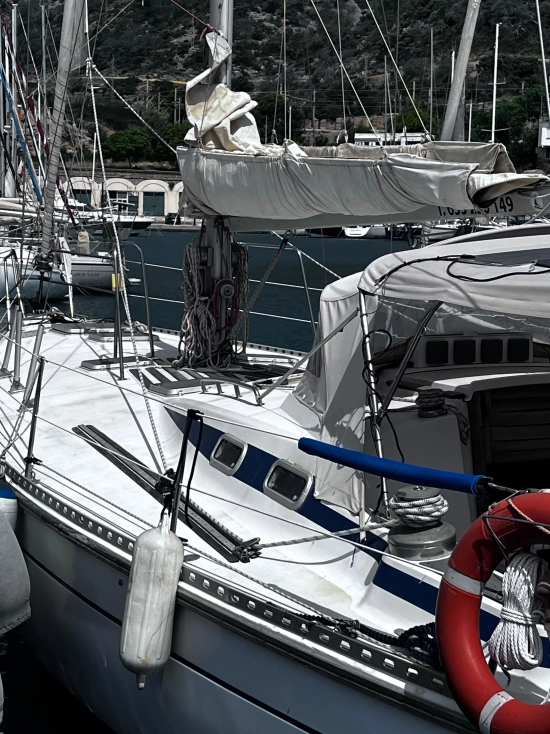 DYNAMIQUE EXPRESS 44 usata in vendita