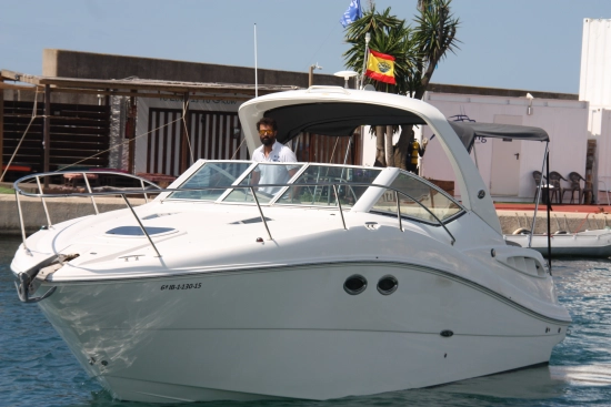 Sea Ray 290 Sundancer de segunda mano en venta