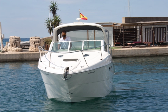 Sea Ray 290 Sundancer de segunda mano en venta
